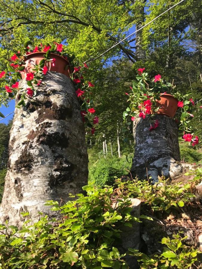 Agriturismo La Rosa Spina Fivizzano Bagian luar foto
